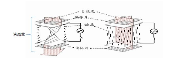 1601451102310233.png 液晶盒及內(nèi)部晶體.png